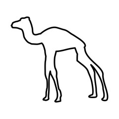 Camel Lines Style Icon Vector 
