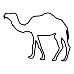 Camel Lines Style Icon Vector 
