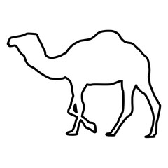 Camel Lines Style Icon Vector 