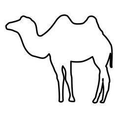 Camel Lines Style Icon Vector 