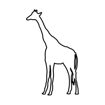 Giraffe Lines Style Icon Vector 