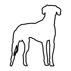 Obraz premium Dog Lines Style Icon Vector 