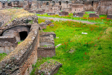 Ruins of Ludus Magnus - Rome - Italy