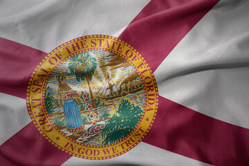 waving national flag of florida state. macro shot