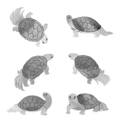 水墨画風の亀のベクターイラストセット
