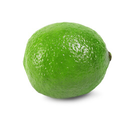 One fresh ripe lime isolated on white