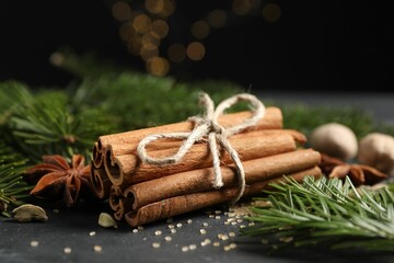 Different spices and fir branches on gray table, closeup