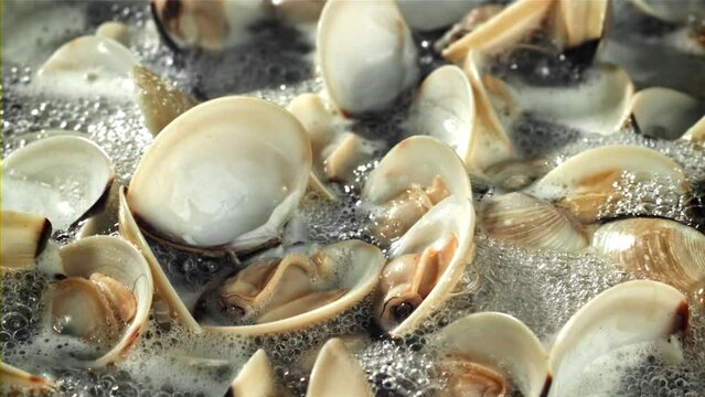 Fresh vongole is boiled in a wok. Filmed on a high-speed camera at 1000 fps. High quality FullHD footage