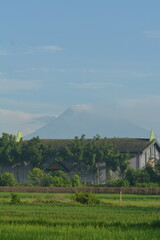 View of rice fields in a background of Mount Merapi in Yogyakarta, Indonesia