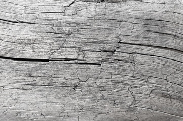 Old weathered cracked wooden texture