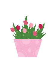 Pot with flowers. Multicolored tulips. Isolated flat design