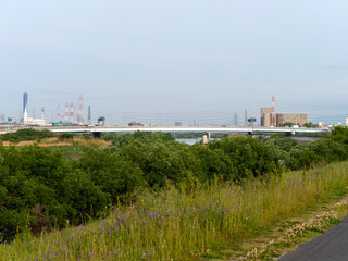 大阪を流れる大和川沿いの風景