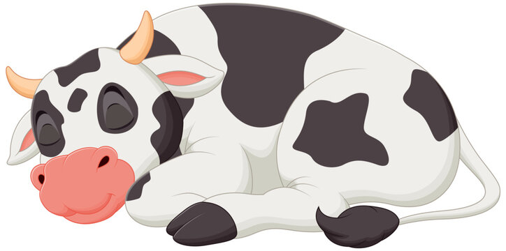 Cute Cow Cartoon Sleeping Vector Illustration. Animal Nature Icon Concept Isolated Premium Vector