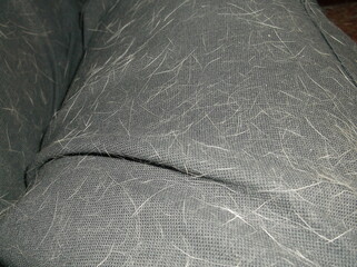 close up of background