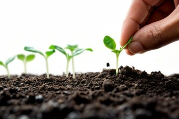 Close-up of fingers and seedling. Background with selective focus and copy space