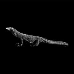 Komodo Dragon hand drawing vector isolated on black background.