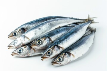 Raw sardines isolated on white