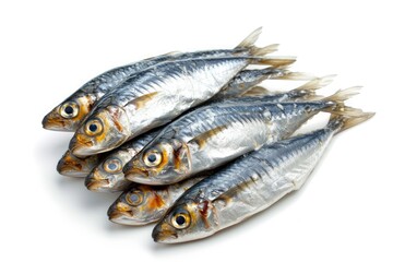 Fototapeta premium White background with well shaped Iwashi Sardines