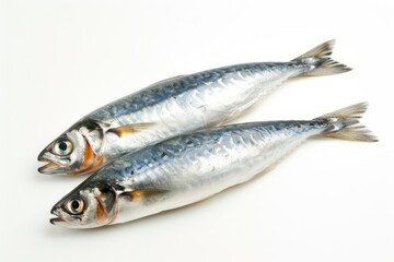 Pair of sardines on blank surface