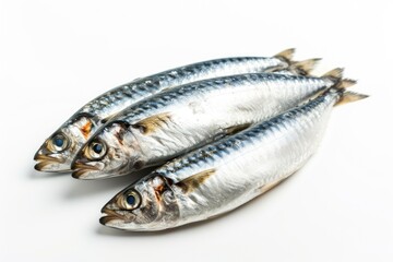 isolated white background with sardines