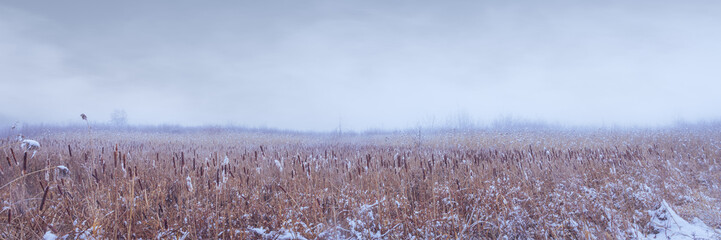 Panorama of natural wetlands on a foggy winter day.