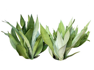 Leaves plant cutout decoration for landscape design 
