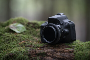 Professionelle digitale Spiegelreflexkamera auf einem Baumstumpf im Wald 