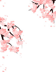 Pink Sakura Flowers Branch Frame, Cherry Blossom Border. Spring Floral Falling Petals Background.