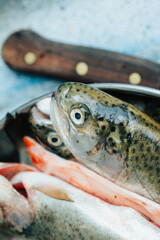 Photograph of a closed trout plan in Peru. Food concept.