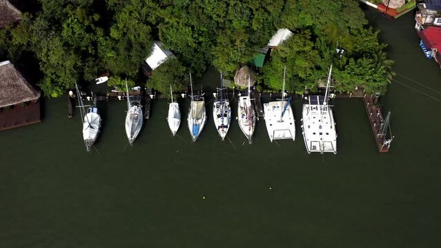 Tall vertical masts of moored luxury yachts towering above tree line