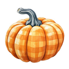 Gingham Pattern Pumpkin: Watercolor Oil Painting, Colorful Striped Illustration Art, Ink Drawing on Transparent or White Background