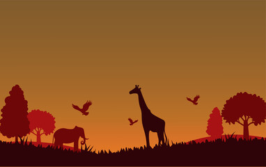 Wildlife Silhouette Background