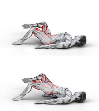 921 Leg Over Knee Glute Bridge. 3D
 Anatomy of fitness and bodybuilding. An outstanding display of male muscles. Targeted muscles are red. No background. Png.