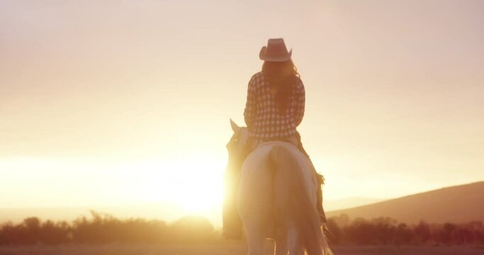 Back view, horse riding or woman in farm at sunset with rider or jockey for adventure, peace or wellness. Relax, ranch or person with a healthy pet animal for training, exercise or travel on farm