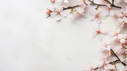 Fotobehang Flat lay of delicate cherry blossoms on a clean white background with soft natural light. © tashechka