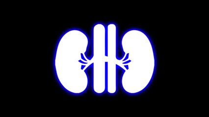 Obraz premium Neon kidney icon in a line style for humans. kidney-line symbol. Internal organs in neon style. Elements of Medicine in neon icons. Simple icon for websites, web design.