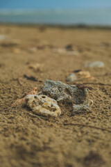 some gravel beach on the sand in the afternoon.