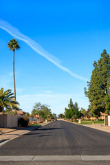 Arizona warm and sunny winter morning in residential community decorated with gigantic palm and huge Afgan pine trees