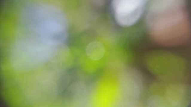 HD seamless looping animation of bokeh photos pointing towards the sun with green, yellow, white colors and fisheye effect