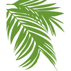 Palm Leaf Corner