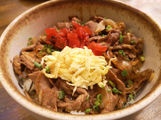 Gyudon beef and onion and rice. Japanese local food