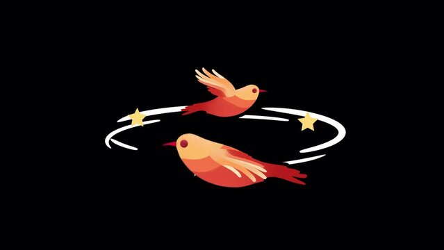 Cartoon dizzy effects_birds and stars moving and flying around the head_knockout vfx_can be looped with an alpha channel 