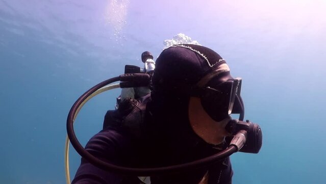persona haciendo buceo en un arrecife de corales junto a un cardumen de peces en el mar caribe.