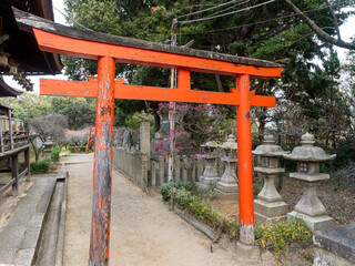 神社の鳥居と石灯籠
