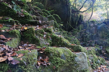 Obraz premium 菊池渓谷の自然 熊本県阿蘇山