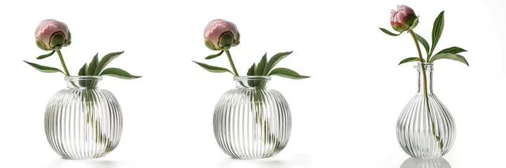Foto op Aluminium Pioenrozen Collection of  identical pink peony buds in clear, vertically-striped vases on a white background, symbolizing simplicity and elegance in home decor