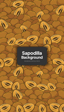 Sapodilla background illustration, tropical fruit design background for social media post