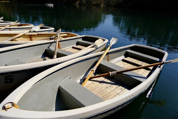 Inside of wooden boat in the Japan lake.