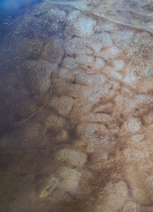 Muddy shore on the Pacific Ocean Shore. Aerial Nature Background