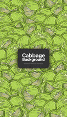 Cabbage illustration, tropical vegetable background design template